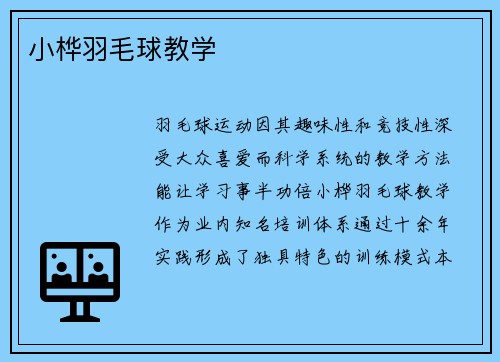 小桦羽毛球教学