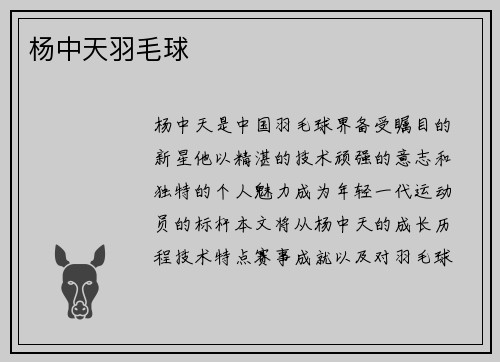 杨中天羽毛球