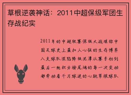 草根逆袭神话：2011中超保级军团生存战纪实