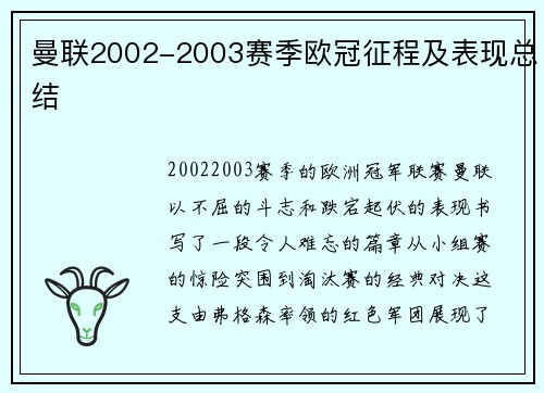 曼联2002-2003赛季欧冠征程及表现总结